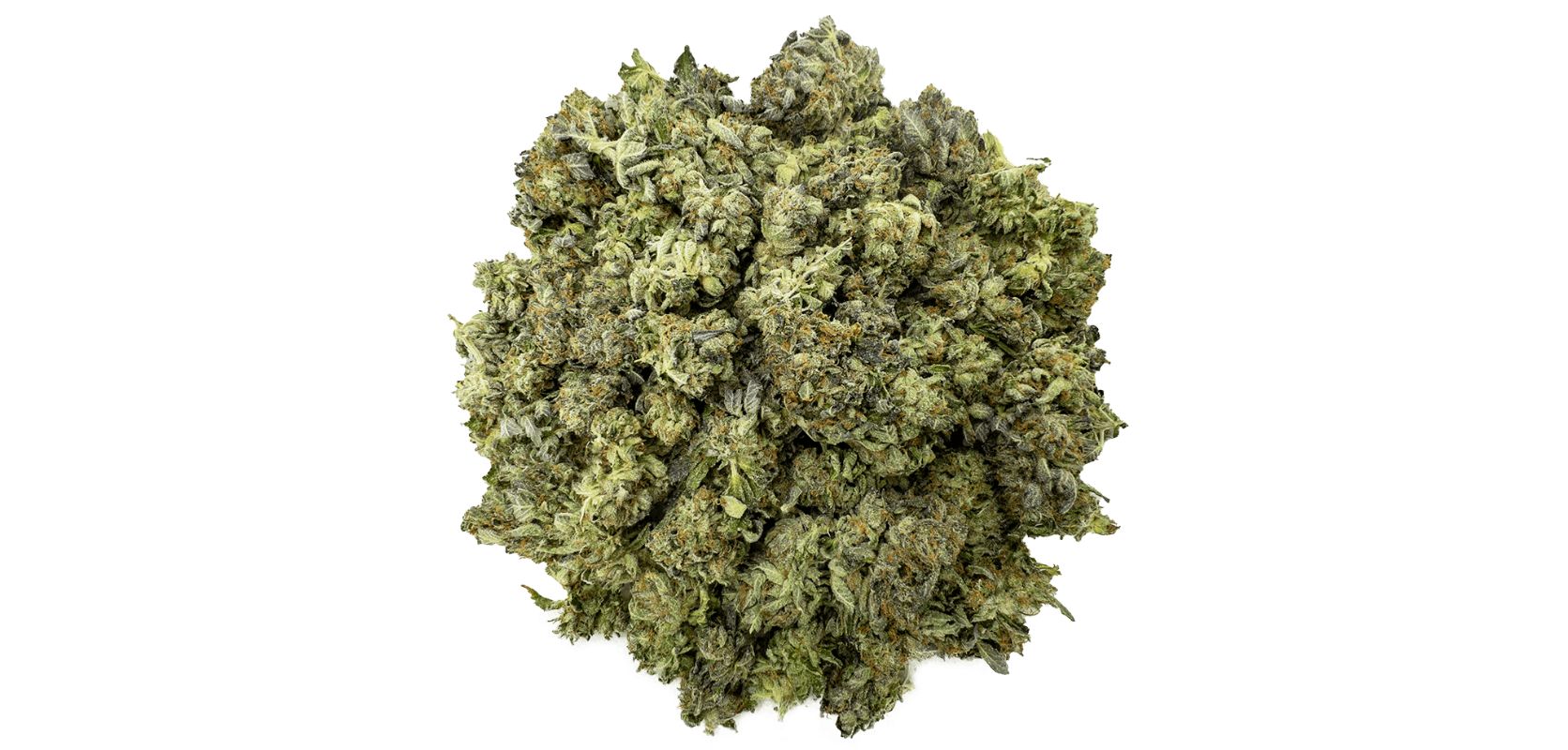 The Cali Bubba weed strain is known for its rich and diverse flavour profile, as well as its distinct aroma. 