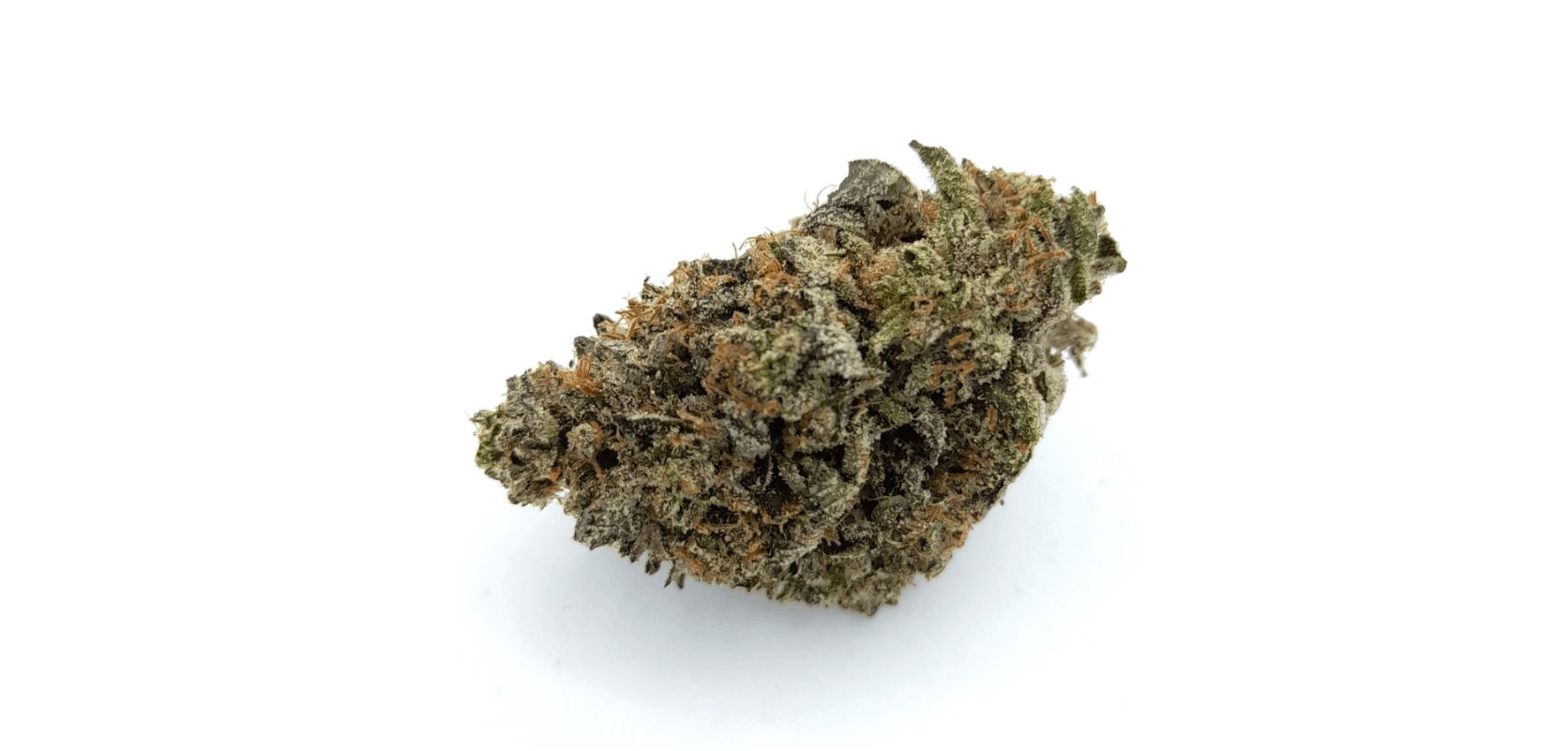 The Hi Octane strain also has an uplifting and mood-enhancing effect that may relieve stress and anxiety.