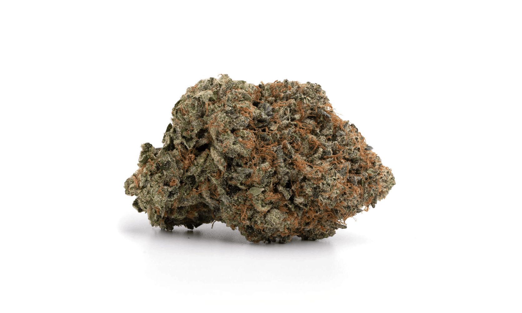 You will learn about the Black Tuna weed strain and its genetics, potent effects, unique flavours, and some close relatives you might want to explore.