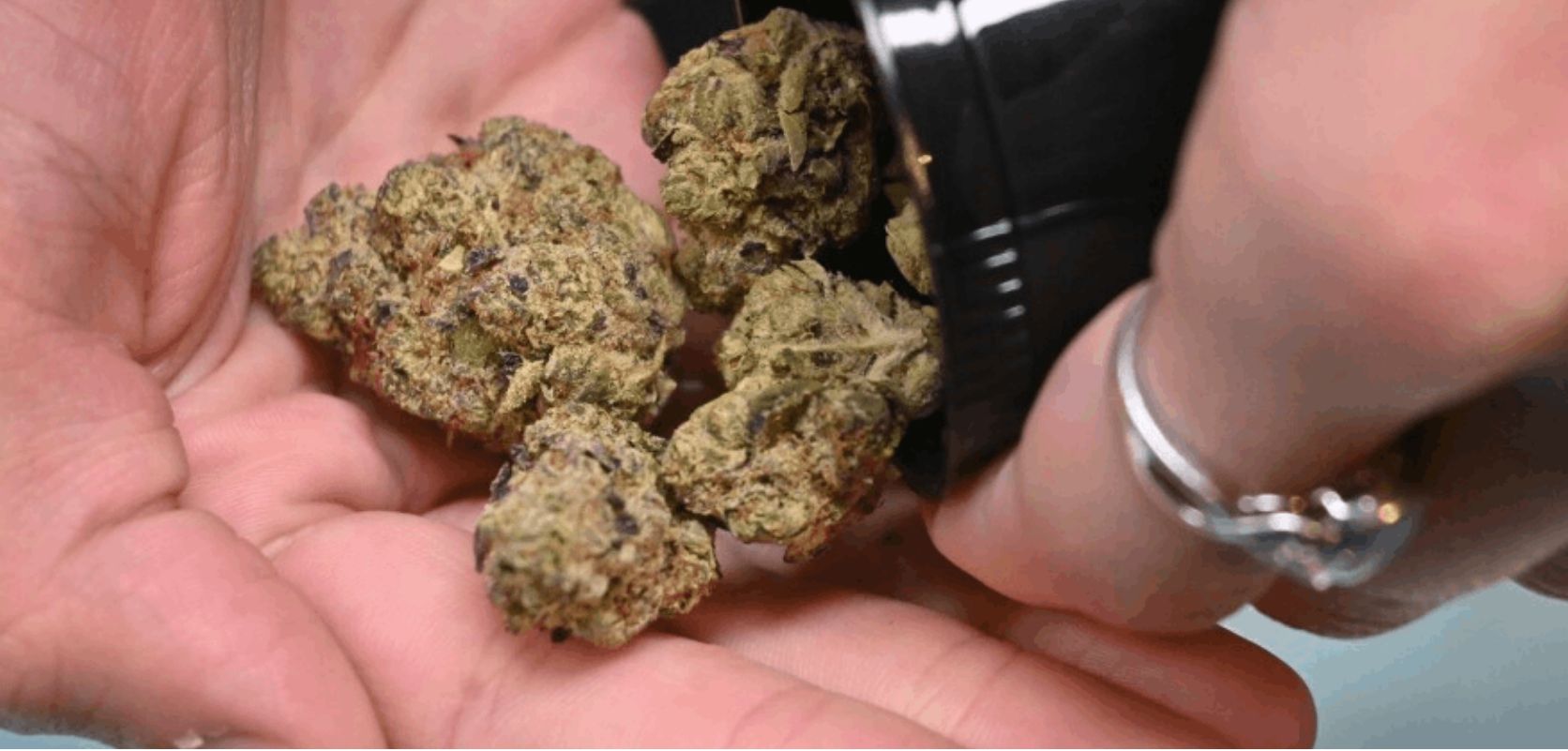 Alright, we've taken a close look at the ins and outs of buying bulk weed in Canada. 