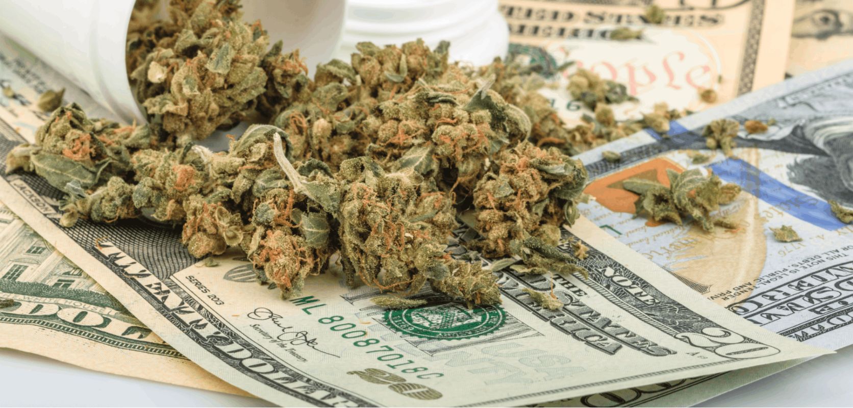 Buy weed online today - buy cheap weed without taking a chance with the overall quality. Trust us, wholesale weed in Canada has never been this tasty and potent! Read on.