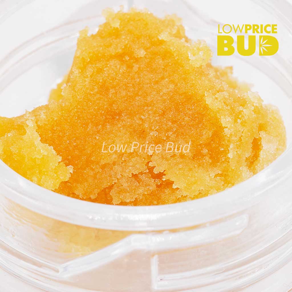 Buy Caviar – Orange Creamsicle online Canada