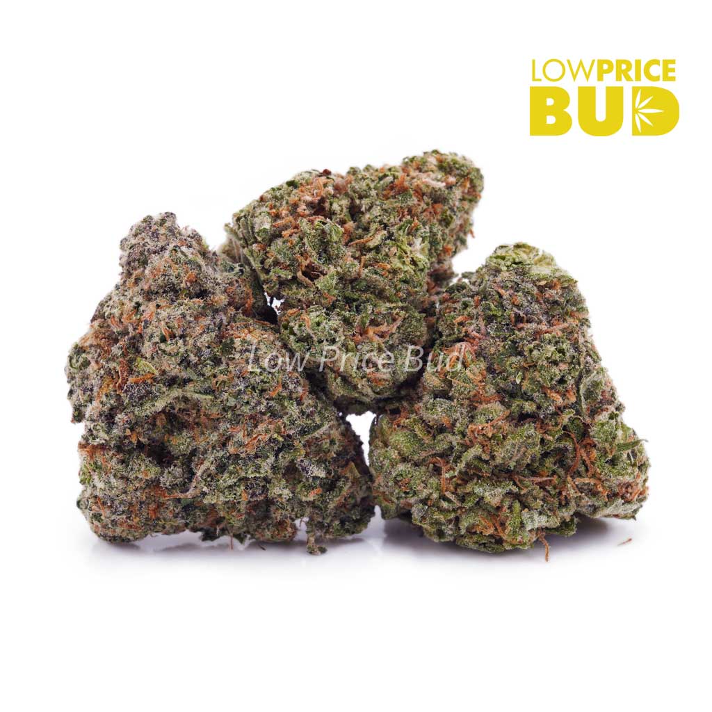 Yuzu Lemonade (AAA) Buy Yuzu Lemonade (AAA) online Canada