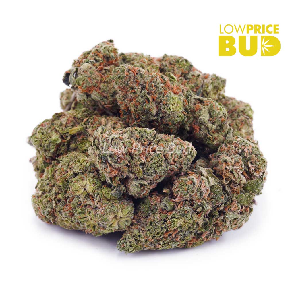 Yuzu Lemonade (AAA) Buy Yuzu Lemonade (AAA) online Canada