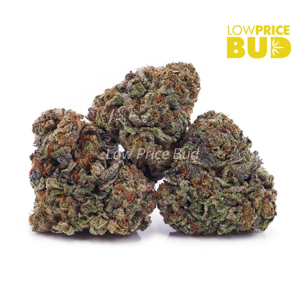 Buy Blueberry Gas (AAAA) online Canada