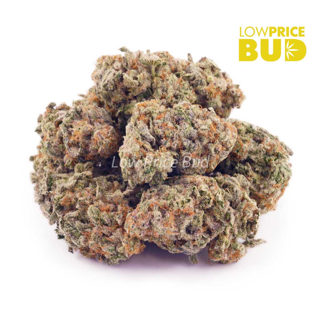 Supernova (AAAA) Buy Supernova (AAAA) online Canada