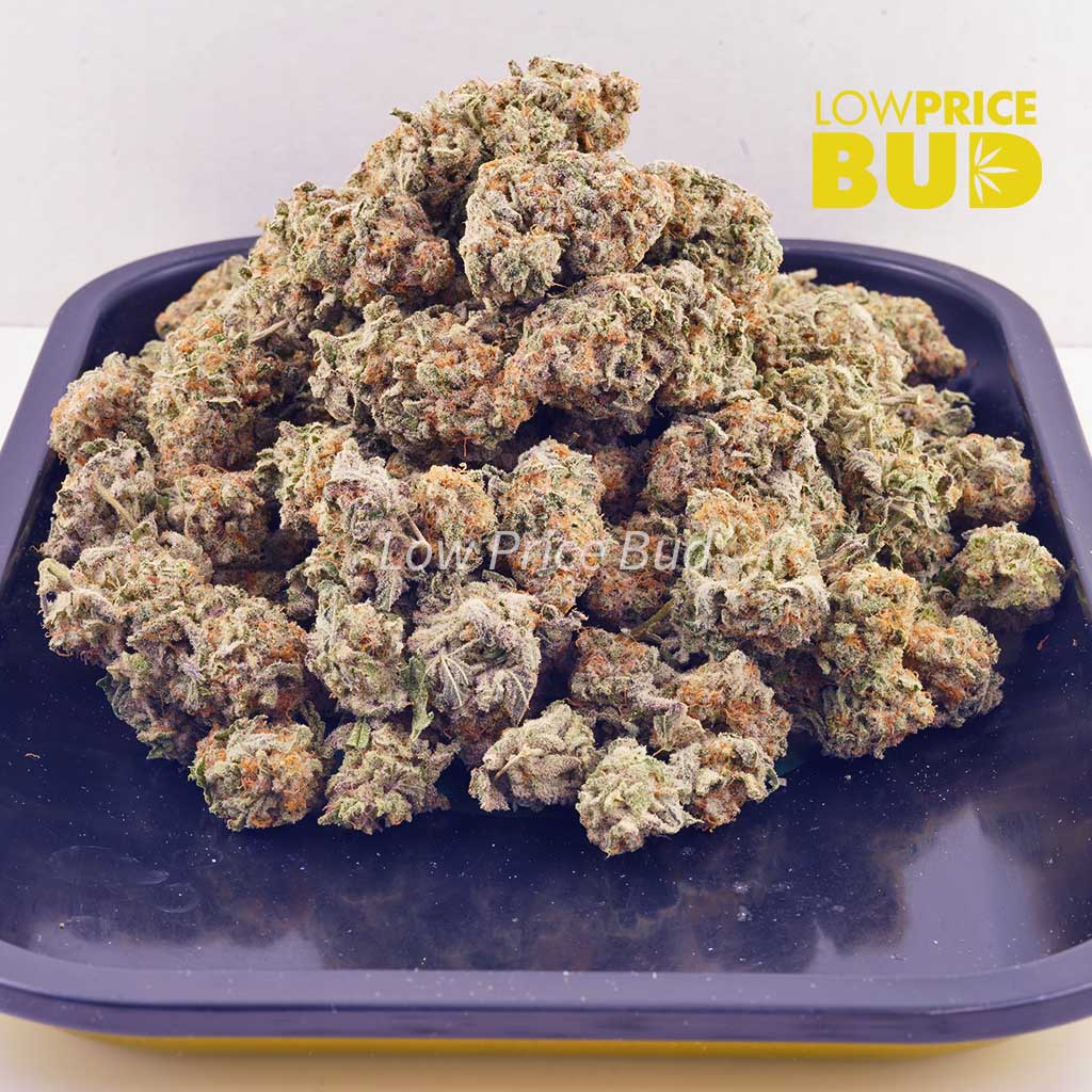 Supernova (AAAA) Buy Supernova (AAAA) online Canada