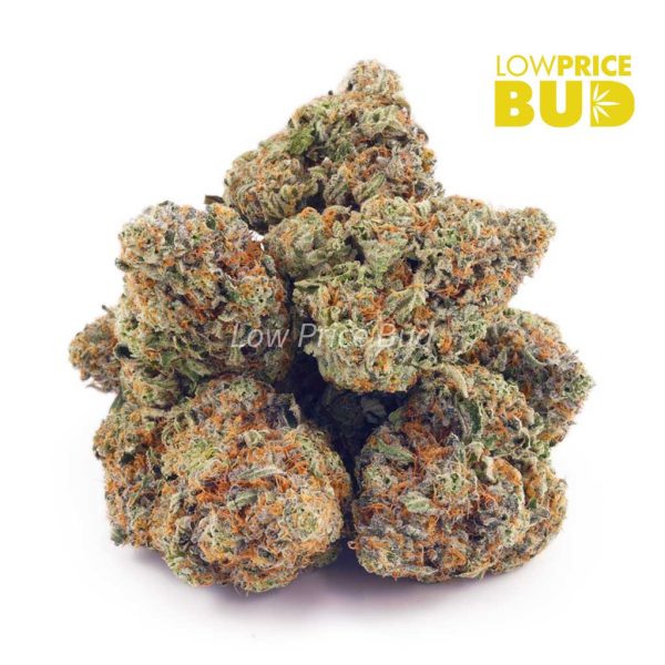 Buy Strawberry Cough (AAA) online Canada