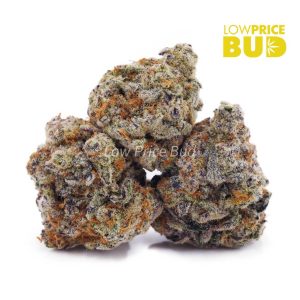 Buy Purple Astro Cake (AAAA) online Canada