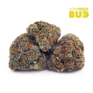 Blueberry Cheesecake (AAA) Buy Blueberry Cheesecake (AAA) online Canada
