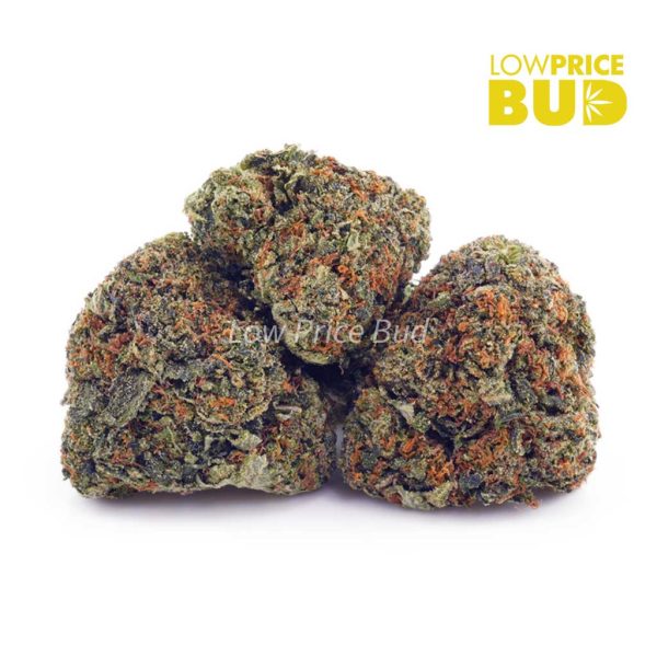 Buy Blueberry Cheesecake (AAA) online Canada