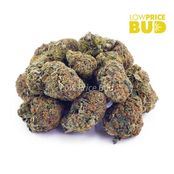 Buy Blueberry Cheesecake (AAA) online Canada