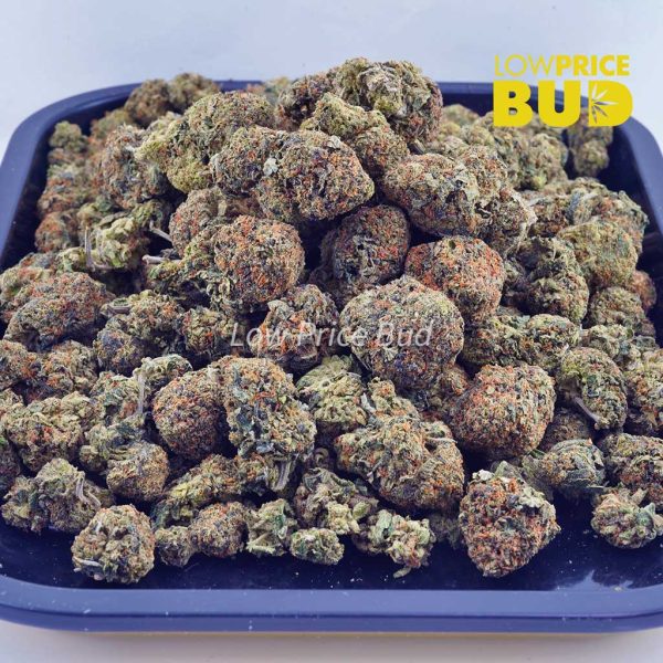 Buy Blueberry Cheesecake (AAA) online Canada