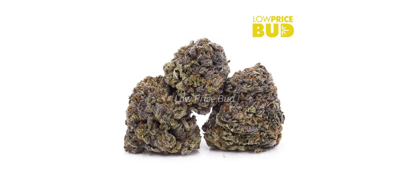 Low Price Bud is the go-to place to get some high-quality Cali Bubba weed nugs. Buy weed online like Cali Bubba and never look back!