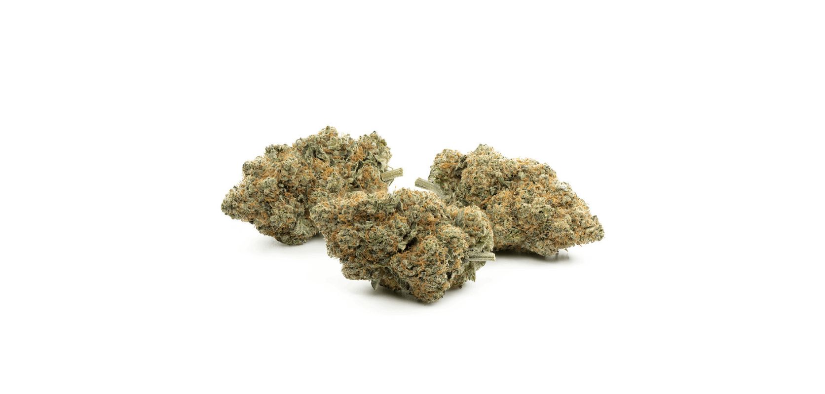 Buy weed online like the Cali Bubba strain, exclusively available at a reputable dispensary. Hurry up and get some budget buds today before they’re all gone!