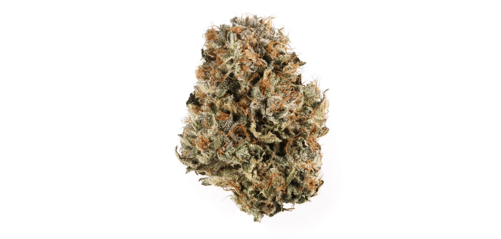With Cali Bubba, you're not just getting a strain that's all about leisurely relaxation. Its potent Indica dominance can also offer a plethora of potential medical benefits.
