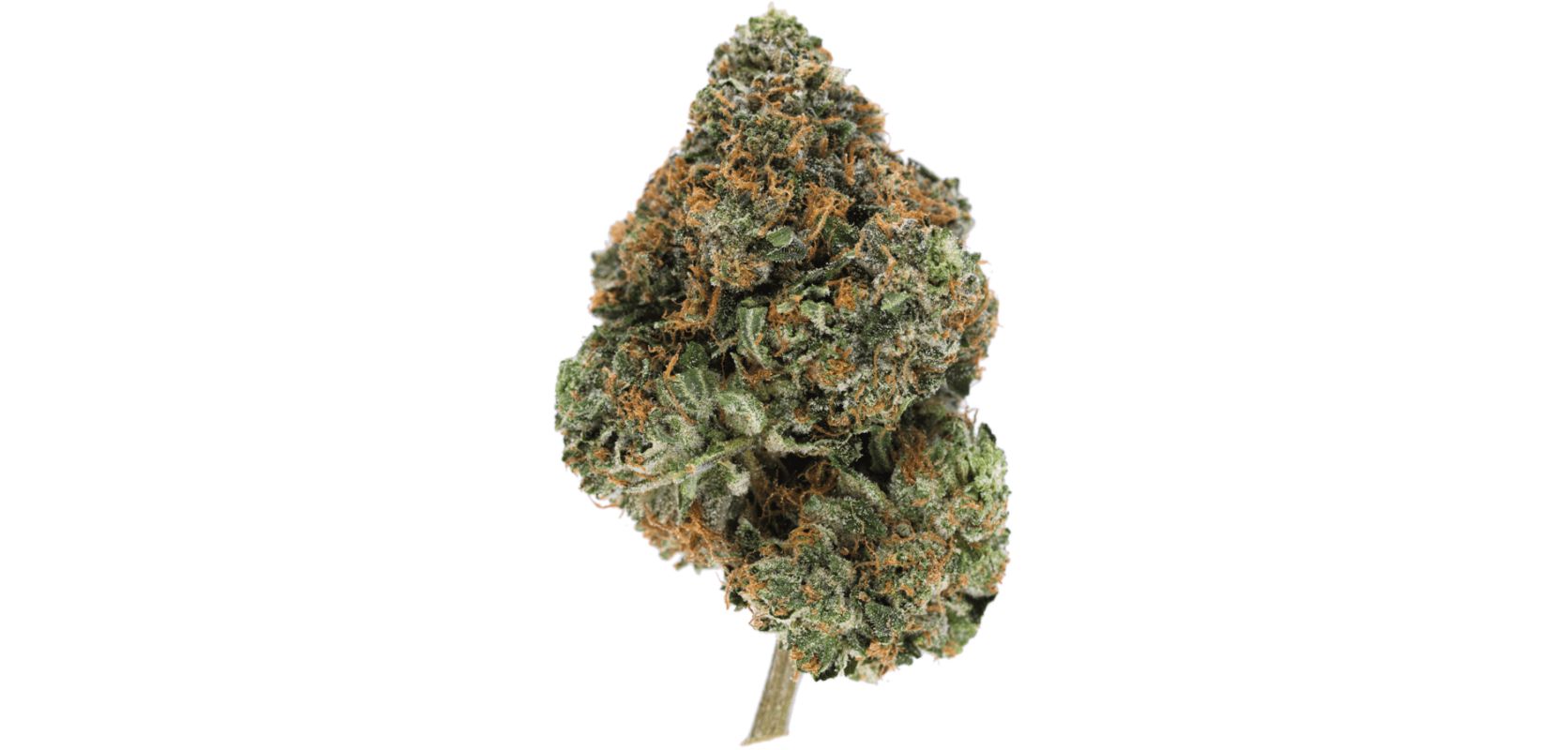 As mentioned before, Cali Bubba weed is a strong mix that's mostly Indica. 
