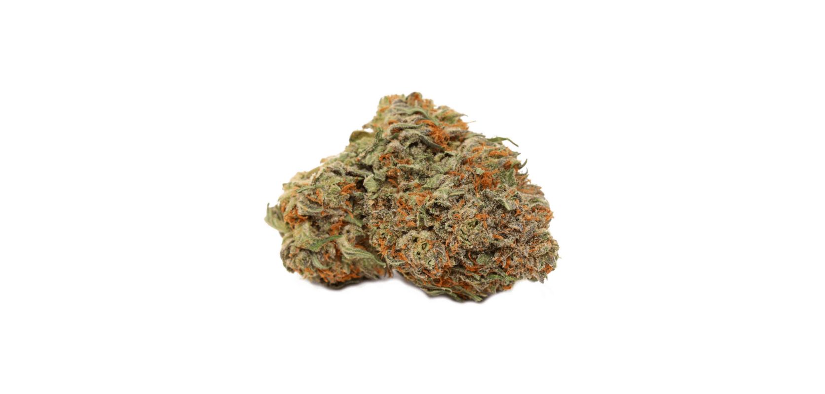 Cali Bubba is famous for its sedative and relaxing effects - not only that, but it also has an impressive terpene profile.