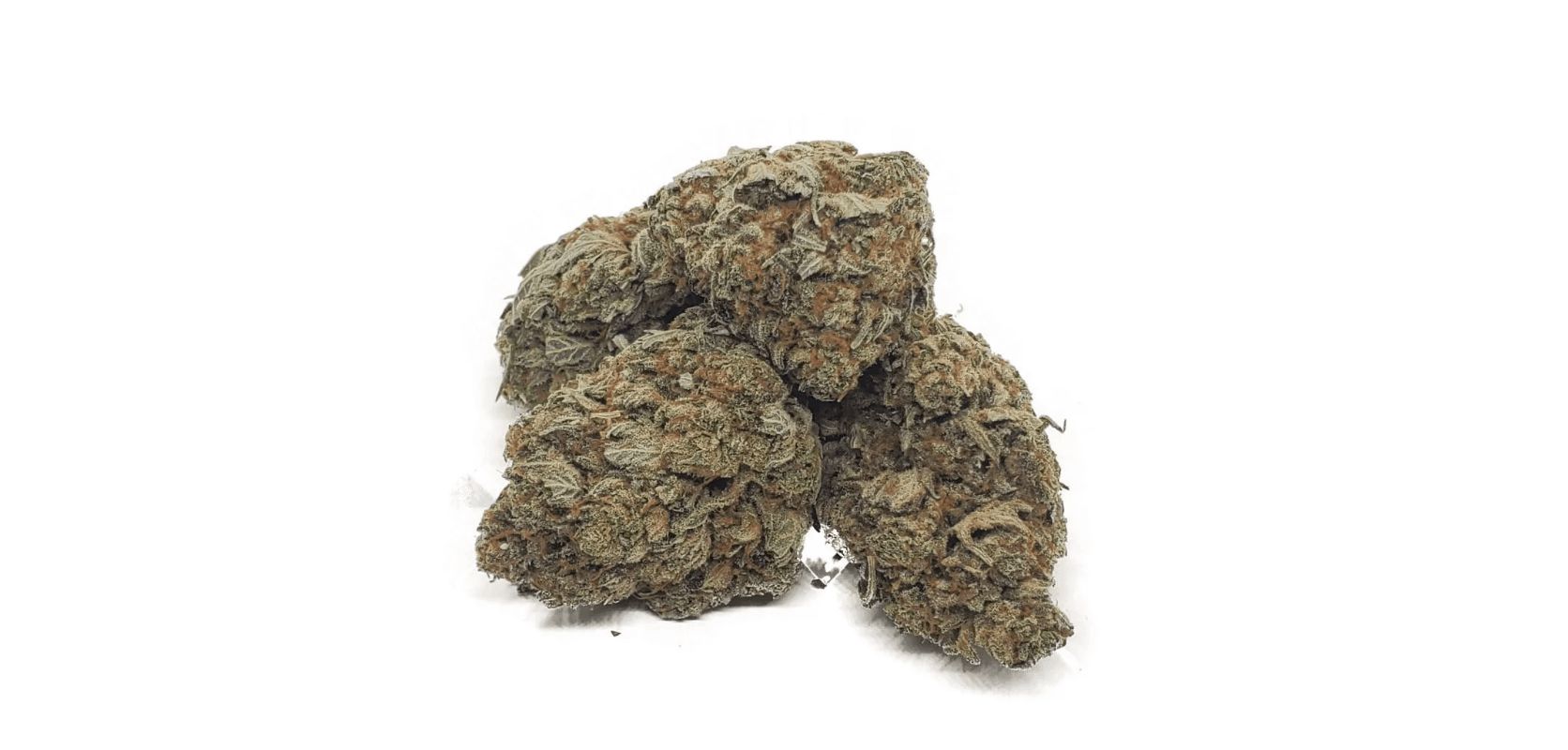 Cali Bubba weed is a potent Indica hybrid strain that has captured the heart of canna enthusiasts, especially in Canada. 