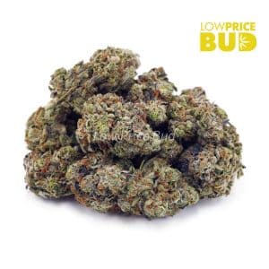 Buy Fire OG (AA) online Canada