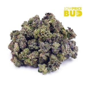 Buy Build Your Own (AAAA) Popcorn Pound 16 x 28g online Canada