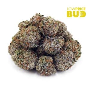 Buy Trainwreck (AAA) online Canada