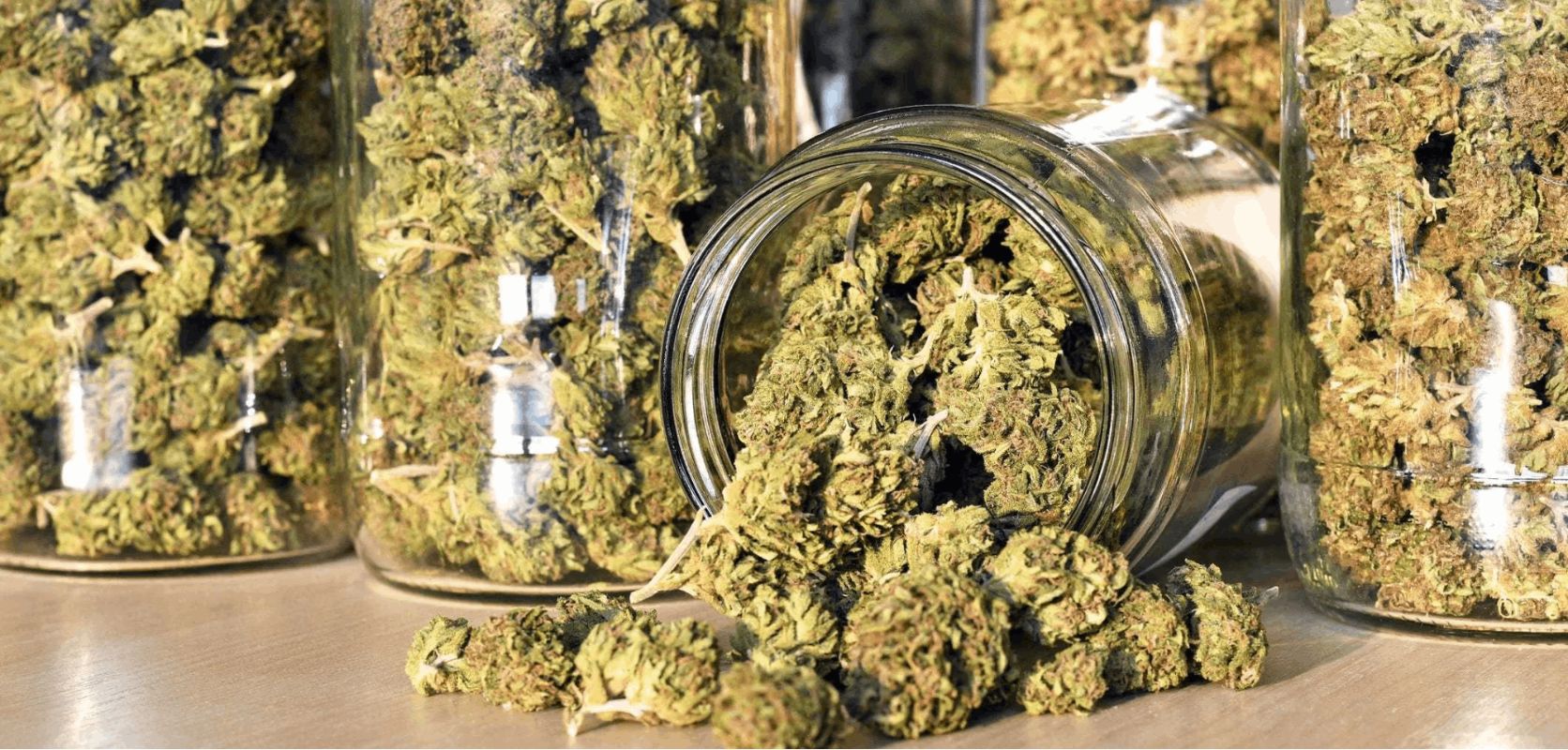 Where can you score your wholesale bud in Canada? You've got your physical shops, sure, but the real magic happens in the virtual world of an online weed dispensary.