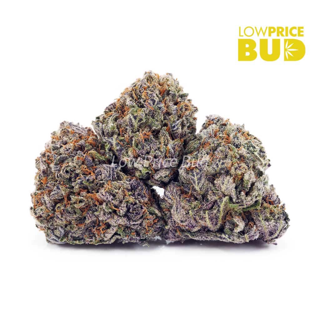 Mataro Blue (AAA) Buy Mataro Blue (AAA) online Canada