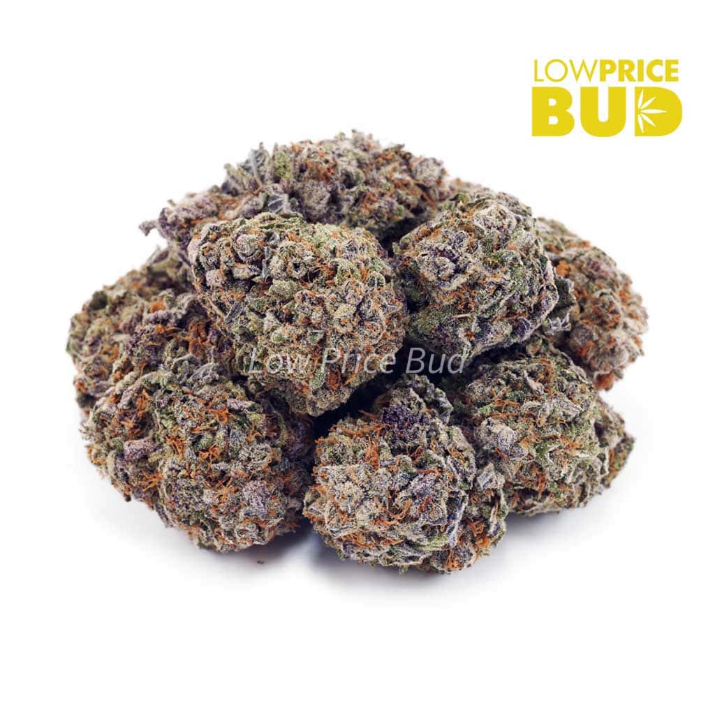 Mataro Blue (AAA) Buy Mataro Blue (AAA) online Canada