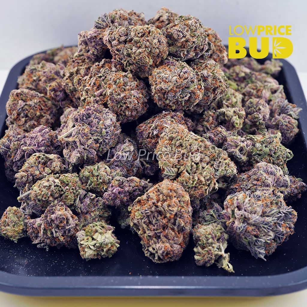Mataro Blue (AAA) Buy Mataro Blue (AAA) online Canada