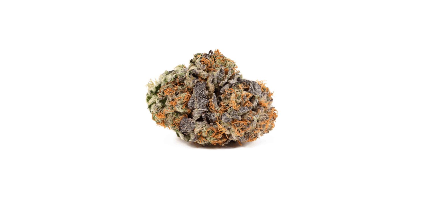Gorilla Bomb's flavour mirrors its aroma. It has a sweetness and tasty chocolatey diesel notes with accents of pine and earth.