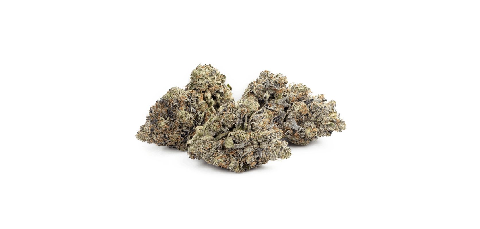 The Hi Octane strain, as we shall get to see in this weed review, is a strain that captivates both recreational and medical marijuana patients. 
