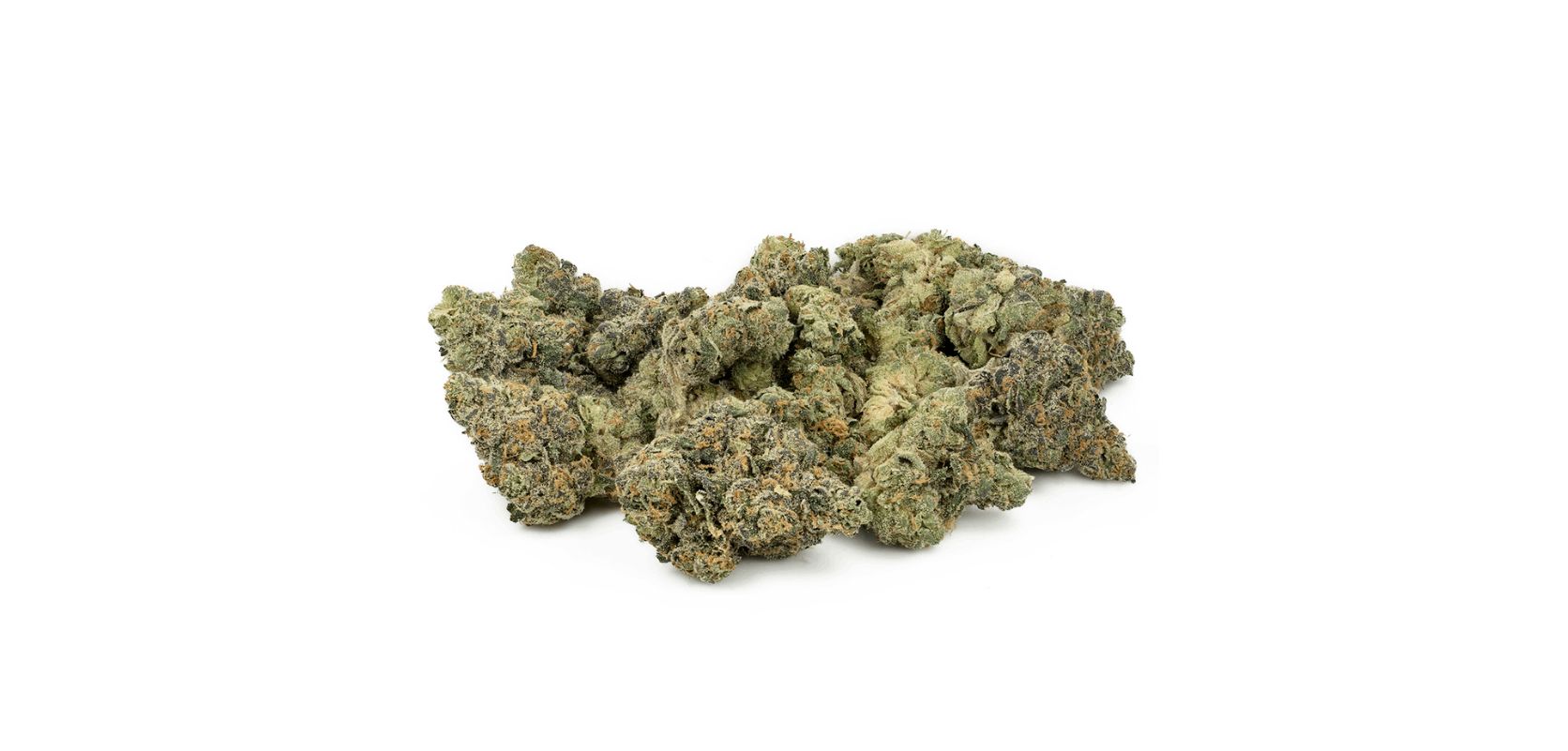 Hi Octane strain has a unique terpene profile that plays a role in its aroma, flavour as well as medicinal properties.