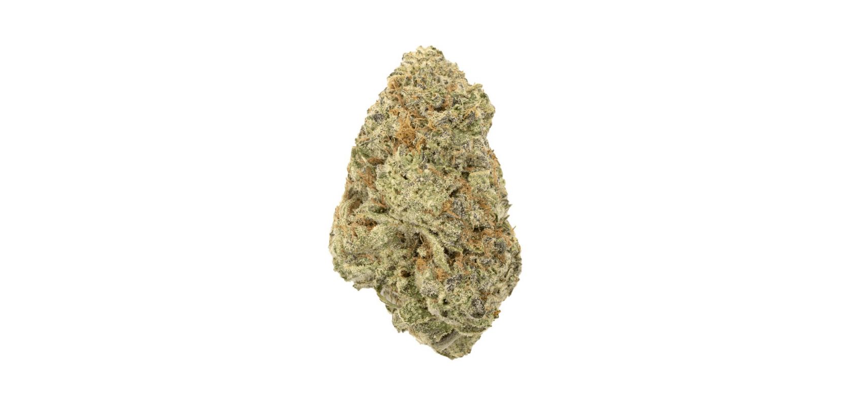 Hi Octane is a strain that captivates both recreational users and medical cannabis patients alike. 