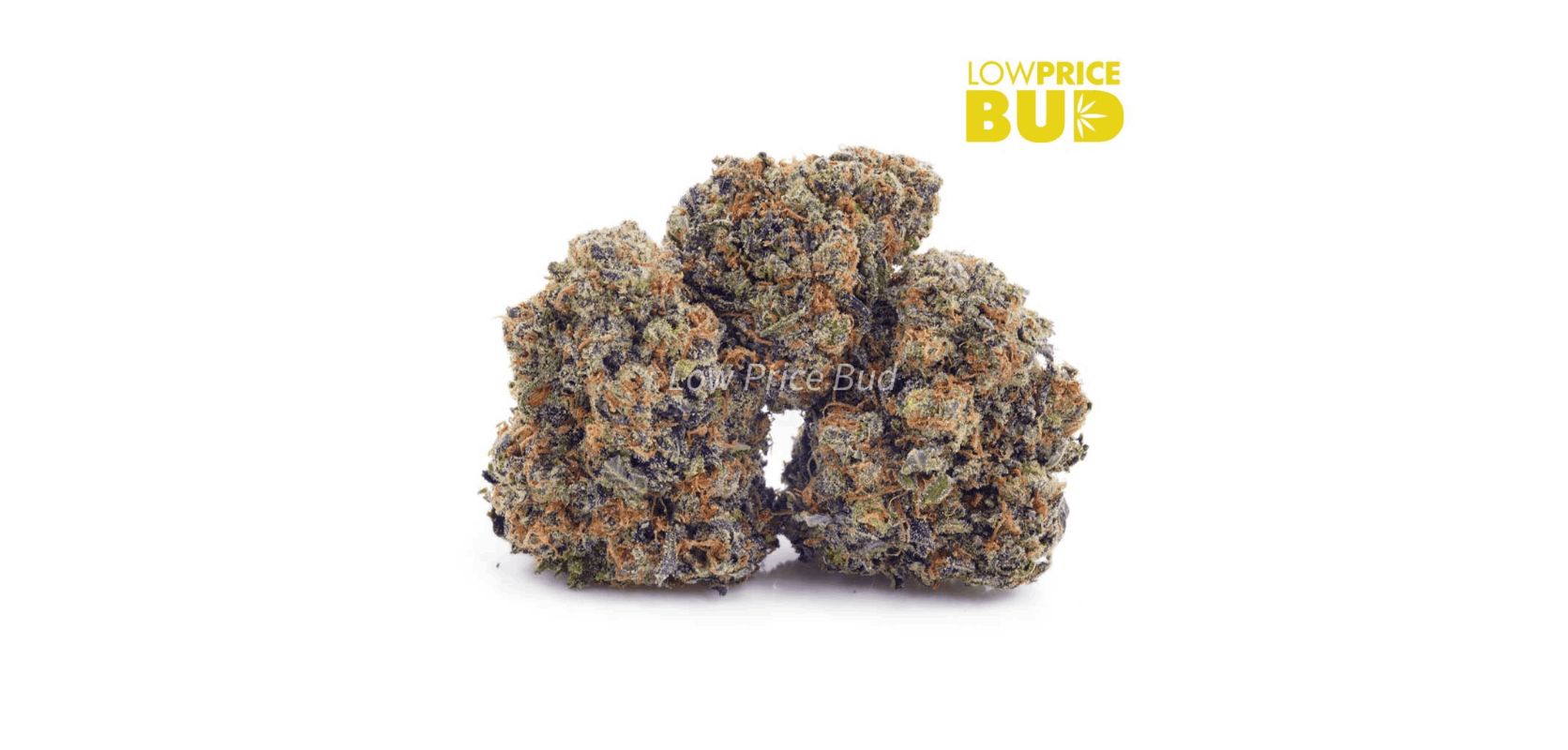If you are broke but you want to enjoy the highest-quality bulk weed, we recommend trying the Incredible Hulk (AAAA). 