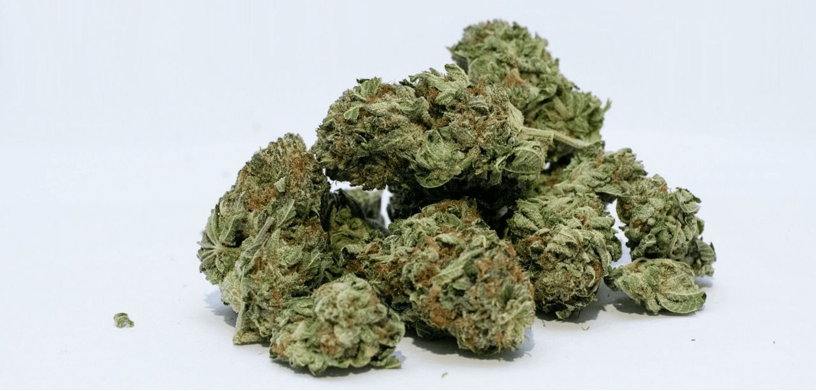 An extensive selection allows you to find cheap weed in Vancouver that meets your specific preferences and requirements.