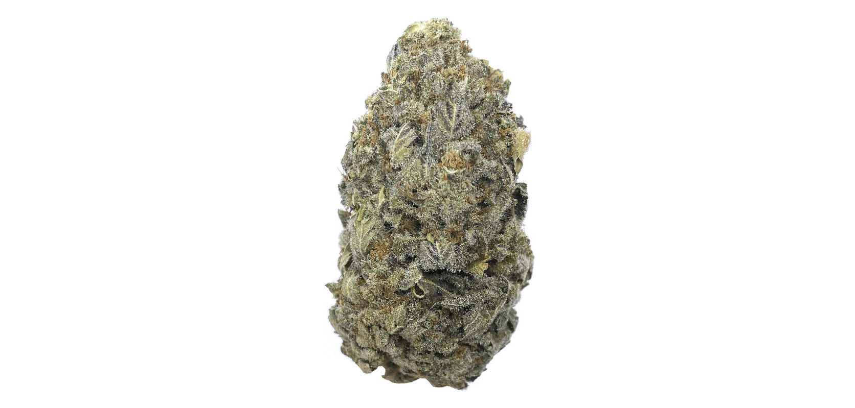 Other than intense full-body relaxation, the Super Pink strain is touted to bring a sense of mental clarity, peace, and euphoria.