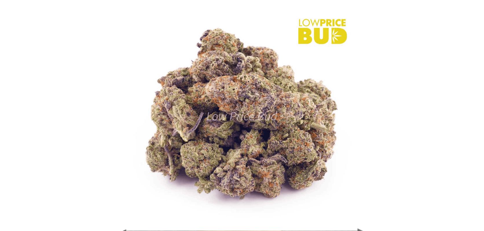 The Runtz (AAAA) - Popcorn Nugs is a top-shelf cannabis product, reflecting the best that both the Indica and Sativa cannabis strains have to offer. 