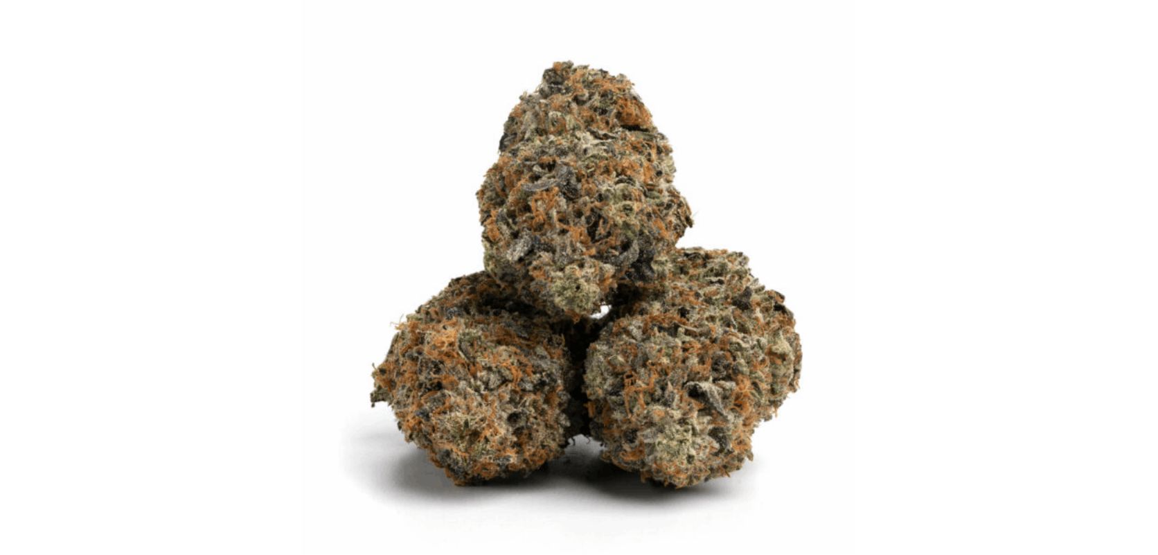 If you are currently experiencing fatigue or stress, you need to buy the Greasy Pink Bubba strain. This Indica provides an effective and quick way to de-stress after a hard and challenging day. 
