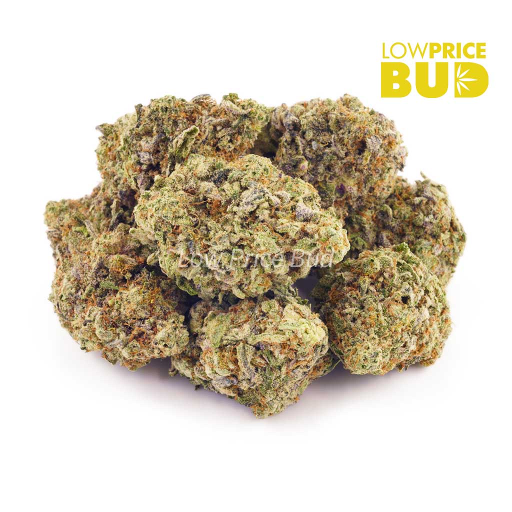 Mandarin Cookies (AAAA) Buy Mandarin Cookies (AAAA) online Canada