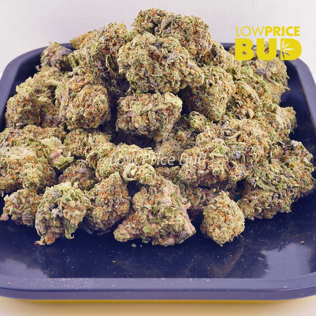 Mandarin Cookies (AAAA) Buy Mandarin Cookies (AAAA) online Canada