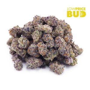 Buy Purple Afghan (AAAA) – Popcorn Nugs online Canada