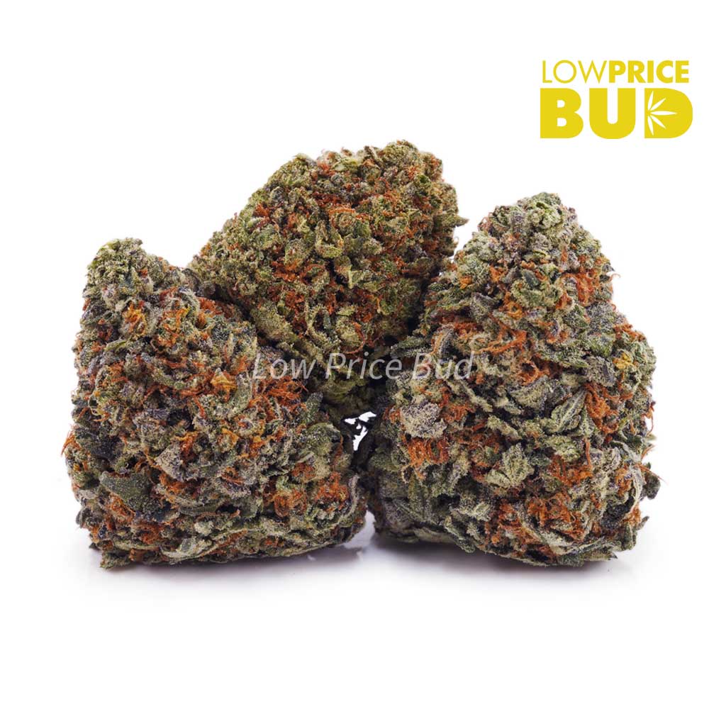 Tropical Punch (AAA) Buy Tropical Punch (AAA) online Canada