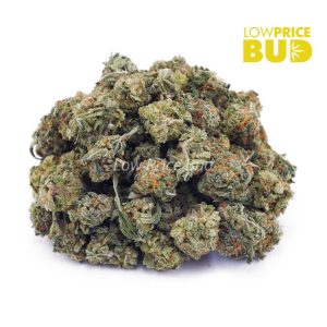 Buy Pineapple Kush (AAAA) – Popcorn Nugs online Canada