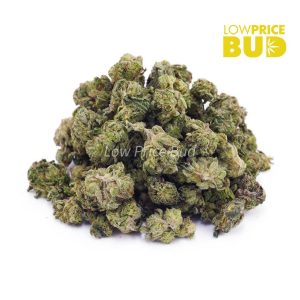 Buy Super Skunk (AAAA) – Popcorn Nugs online Canada