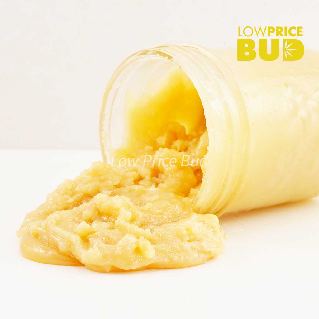 Live Resin – Lindsay OG Buy Live Resin – Lindsay OG online Canada