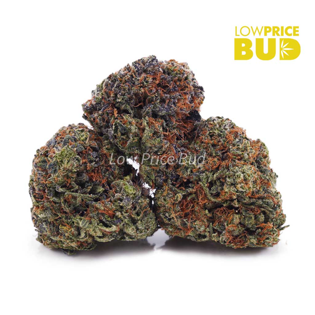Blue Magoo (AAAA) Buy Blue Magoo (AAAA) online Canada