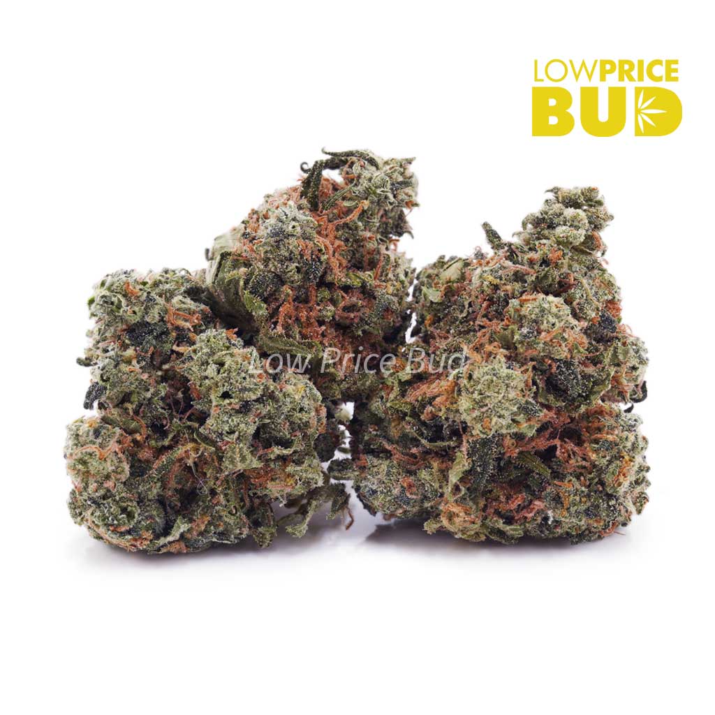 Afghan Kush (AAA) Buy Afghan Kush (AAA) online Canada
