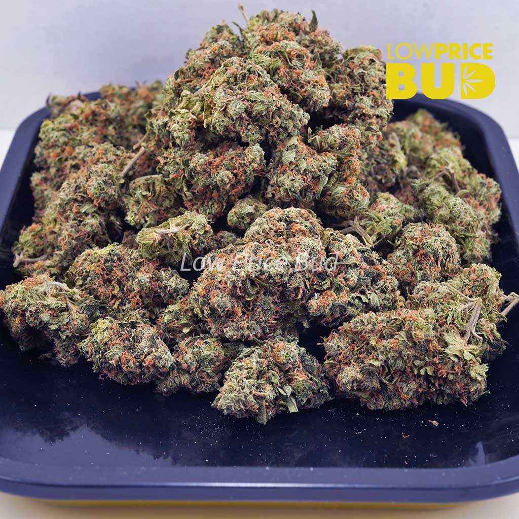 Afghan Kush (AAA) Buy Afghan Kush (AAA) online Canada