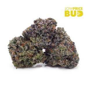 Buy Black Gas (AAA) online Canada
